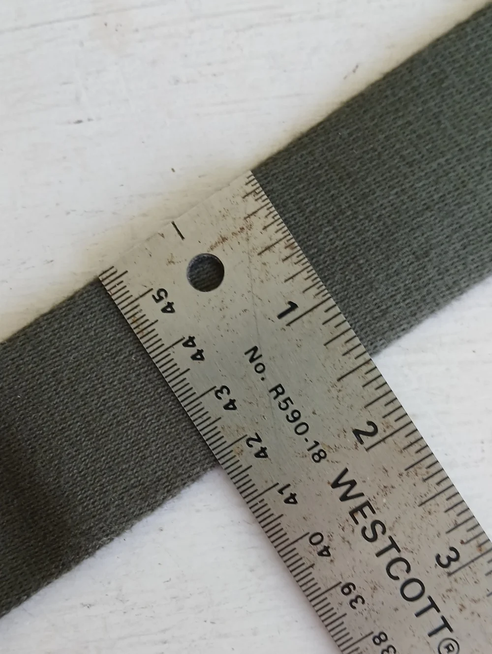 Coach Wide Webbing Strap Olive Green